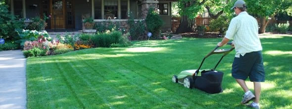 Lawn Care Services - Mowing | Clean Air Lawn Care Lawn Care Services by Clean Air Lawn Care - Mowing