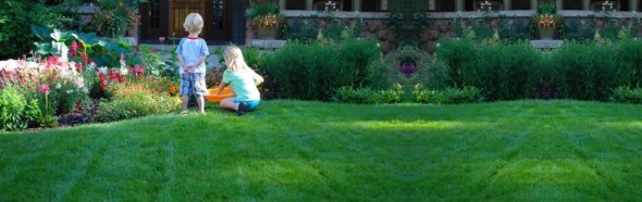 Organic Lawn Care Organic Lawn Care - Clean Air Lawn Care